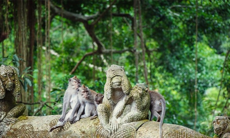 10 Destinasi Wisata di Bali yang Wajib Anda Kunjungi!