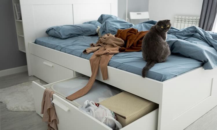 5 Tips Menata Rumah dengan Efisien: Ide untuk Setiap Ruang