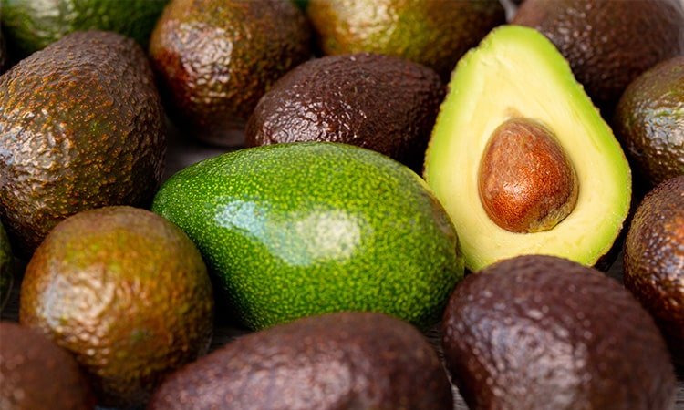 Alpukat