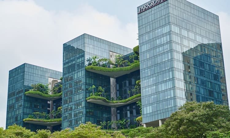 Bahan Bangunan Ramah Lingkungan: Solusi Konstruksi Masa Depan yang Berkelanjutan