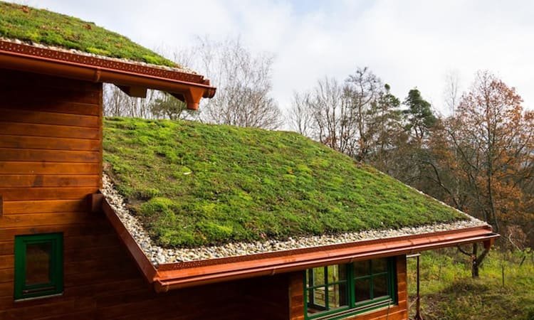 Biodesign & Material Hidup dalam Arsitektur: Tren Masa Depan yang Mengubah Wajah Bangunan