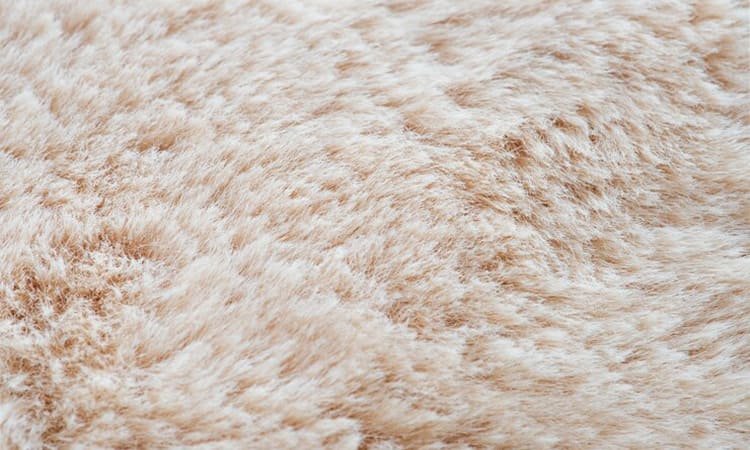 Bukan Hanya Penutup Lantai: Eksplorasi Makna di Balik Karpet