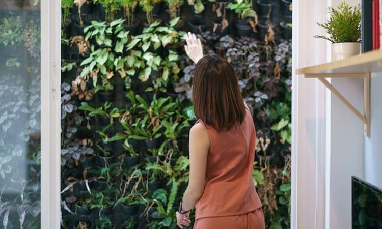 Desain Adaptif terhadap Iklim Ekstrem dan Cuaca Buruk di 2025