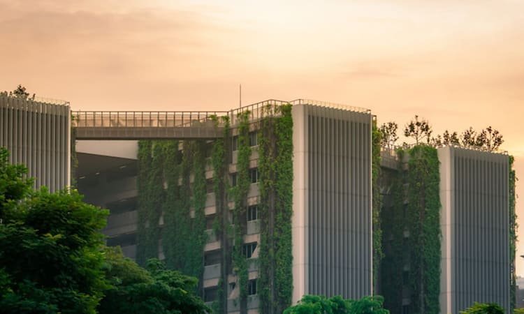 Desain Adaptif terhadap Iklim Ekstrem dan Cuaca Buruk di 2025