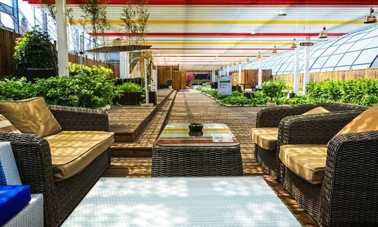 Desain Biophilic di 2025: Menghadirkan Alam ke Dalam Ruang Hunian