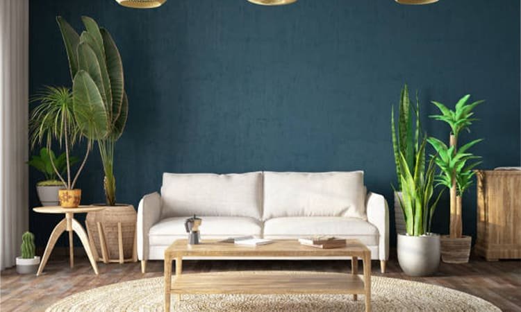 Memilih Finishing Cat yang Ideal untuk Interior Rumah