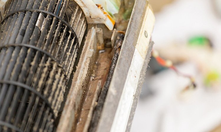 Mengapa AC Cepat Kotor? Berikut Alasan dan Solusinya