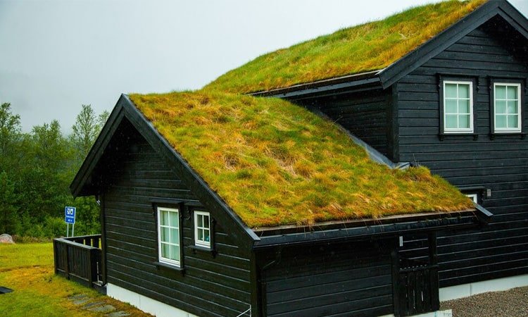 Rekomendasi Atap Rumah yang Aman dan Estetik