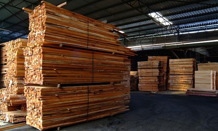 Superwood – Kayu Rekayasa Superkuat di Tahun 2025