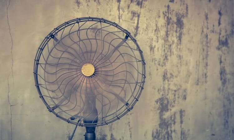 Tips Membersihkan Kipas Angin Tanpa Merusaknya