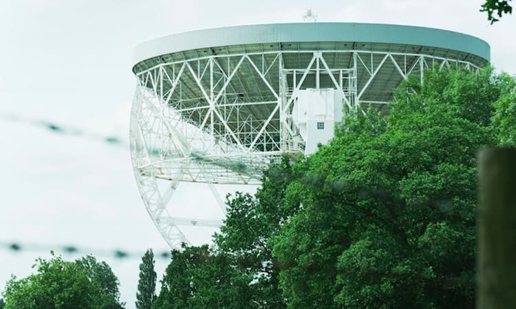 Tren Arsitektur Bionik di 2025: Inovasi dari Alam untuk Masa Depan Bangunan