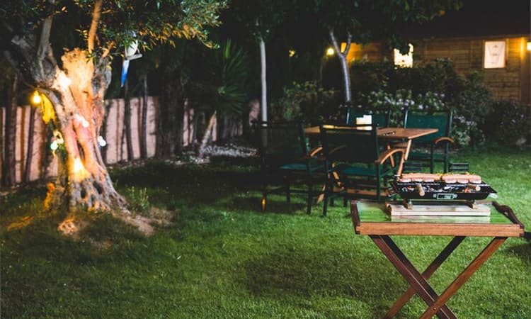 Tren Desain Lanskap Outdoor 2024: Dari Taman Vertikal hingga Kebun Edible