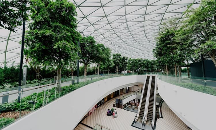 Trend Eco-Brutalism di 2025: Brutalisasi Dingin dengan Elemen Hijau