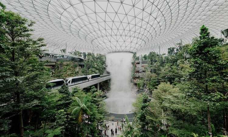 Trend Eco-Brutalism di 2025: Brutalisasi Dingin dengan Elemen Hijau