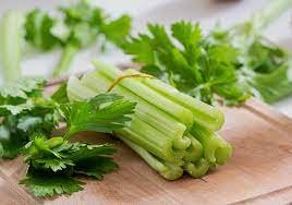 Daun seledri