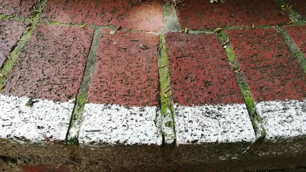 Kesalahan Memilih Keramik Teras yang Bikin Cepat Kusam dan Licin