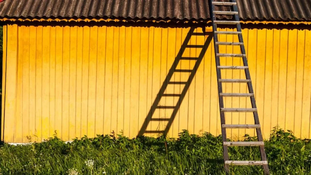 Tren Cat Eksterior Anti Panas dan Anti Jamur untuk Rumah Tropis