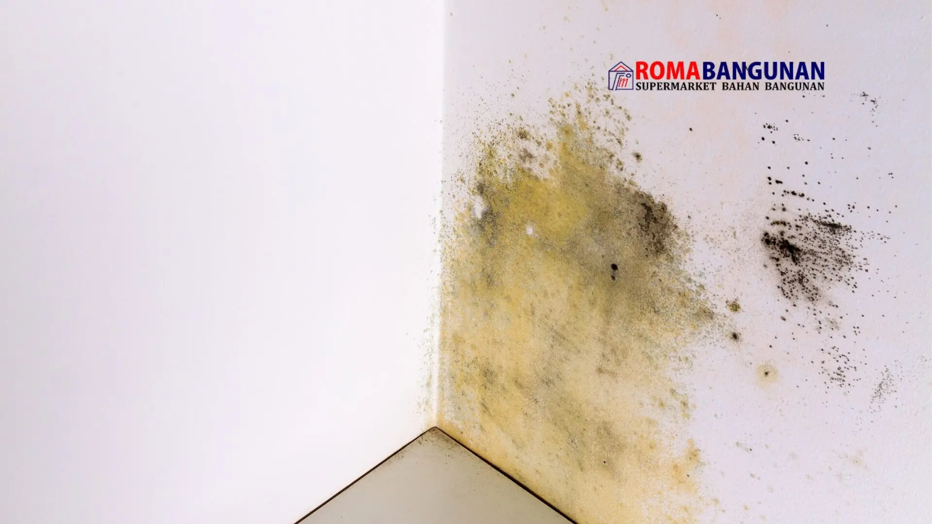 cara mengatasi tembok lembab - roma bangunan