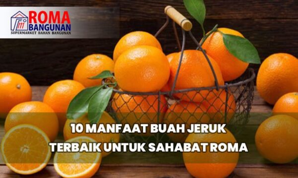 10 Manfaat Buah Jeruk Terbaik Untuk Sahabat Roma - Roma Bangunan