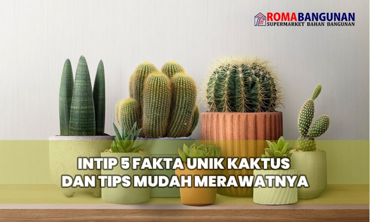 Intip 5 Fakta Unik Kaktus dan Tips Mudah Merawatnya