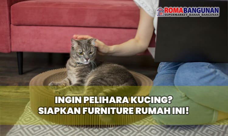 Ingin Pelihara Kucing? Siapkan Furniture Rumah Ini!