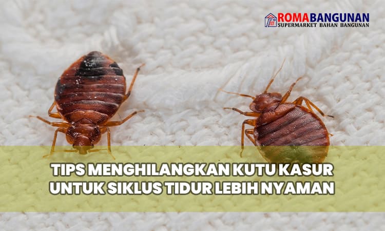 Tips Menghilangkan Kutu Kasur untuk Siklus Tidur Lebih Nyaman