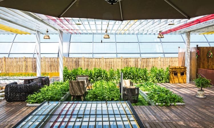 Desain Biophilic di 2025: Menghadirkan Alam ke Dalam Ruang Hunian