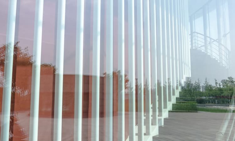 Kayu Transparan (Transparent Wood): Inovasi Material Bangunan Masa Depan