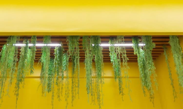 Vegetasi Vertikal dengan Sistem Irigasi Pintar: Inovasi Teras Modern 2025