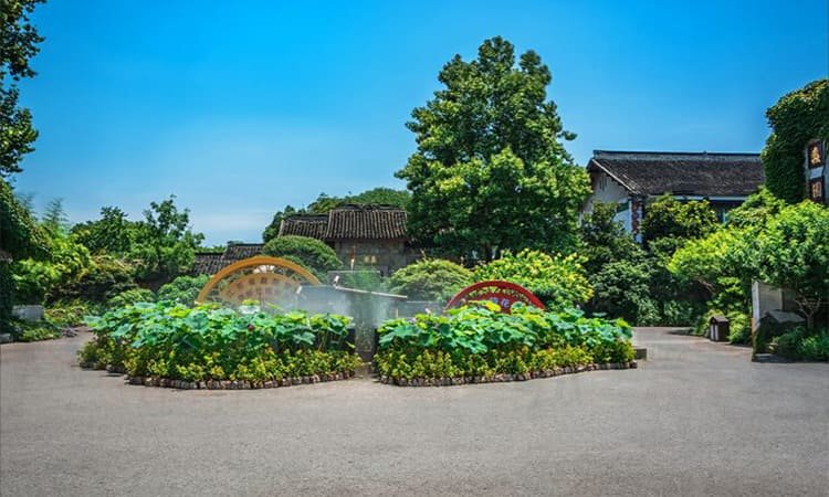 Inspirasi Taman Mini Depan Rumah untuk Lahan Sempit Sambut 2026